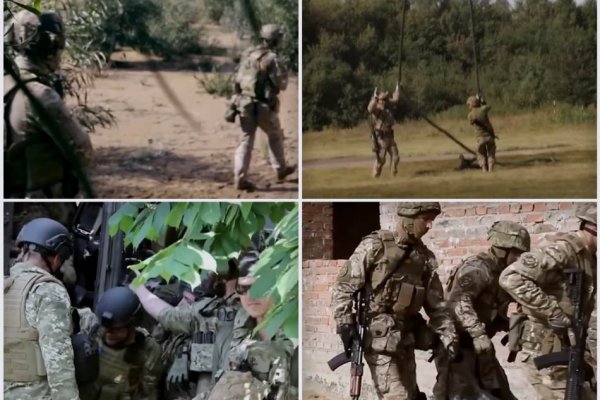 Ссылка адрес на кракен