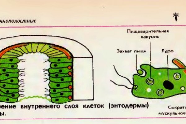 Кракен открылся