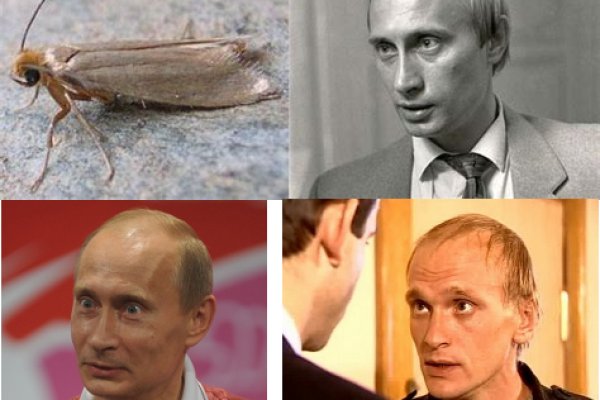 Кракен зайти зеркало