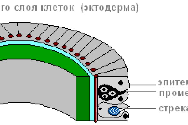 Dark net официальный сайт