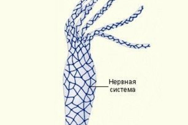 Кракен маркет онион